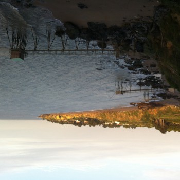 Francelina - Assenede - Flandre orientale | Plans Cul