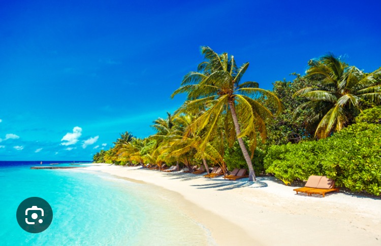 Ludvik - Maasmechelen - Limbourg | Plans Cul