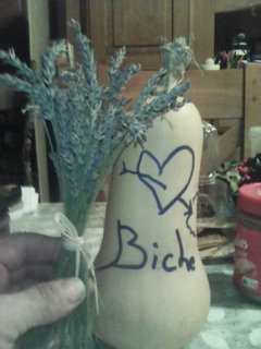 Frederi - Molenbeek-Saint-Jean - Bruxelles-Capitale | Plans Cul