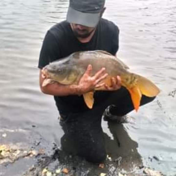 Chawki - Gesves - Namur | Plans Cul