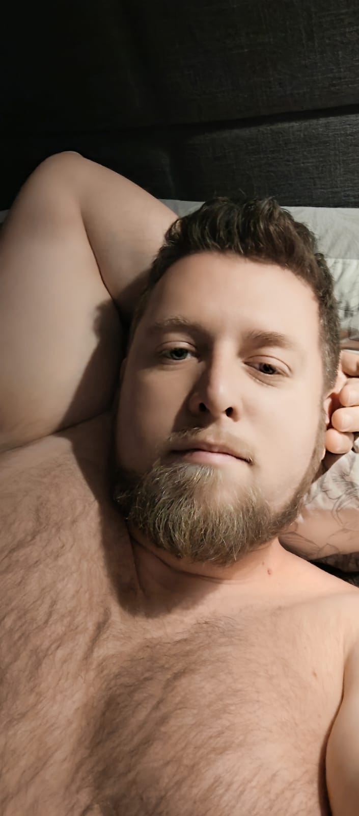 Sigfried - Brunehaut - Hainaut | Plans Cul