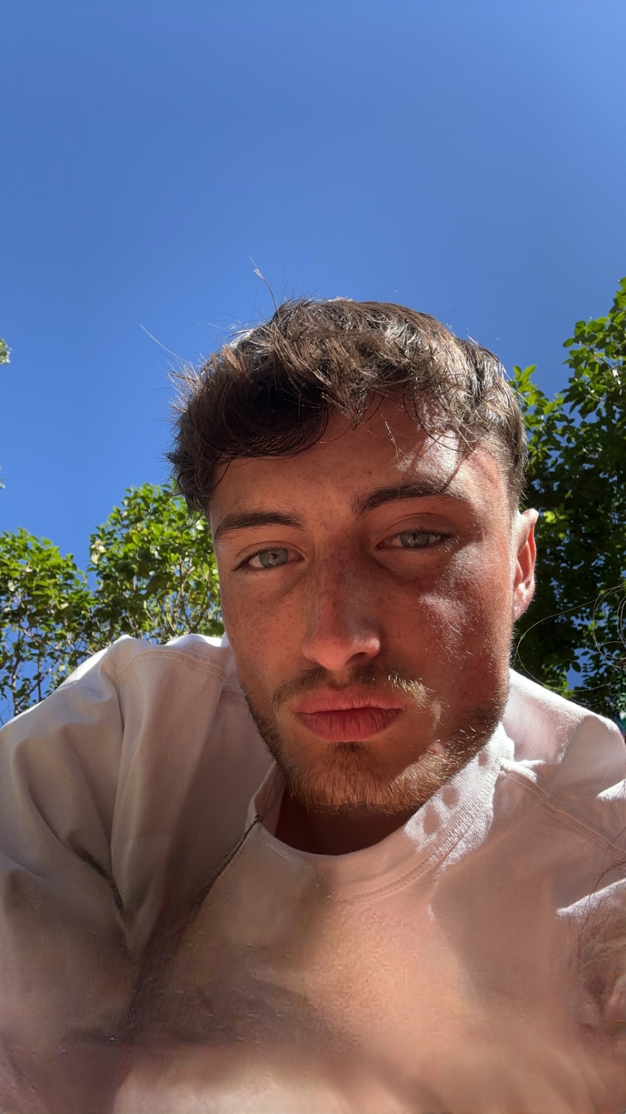 Ludjy - Mortsel - Anvers | Plans Cul