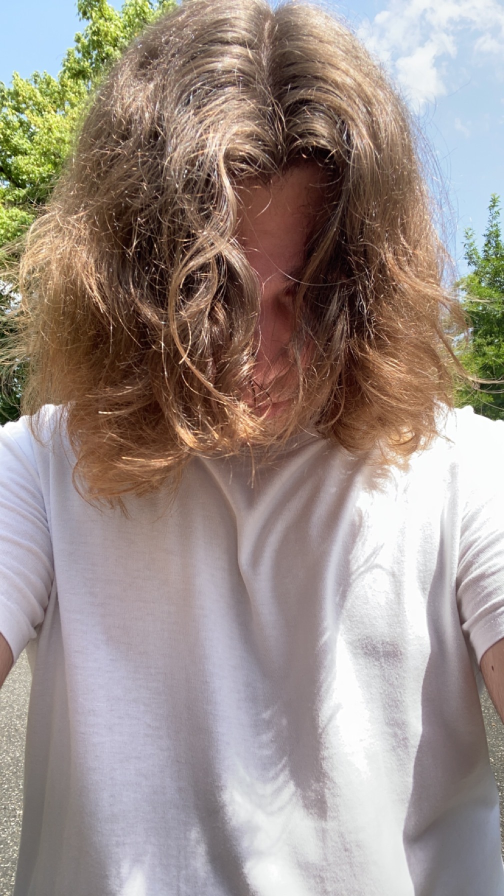 Villy - Essen - Anvers | Plans Cul