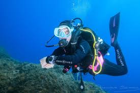 Leszek - Wingene - Flandre occidentale | Plans Cul