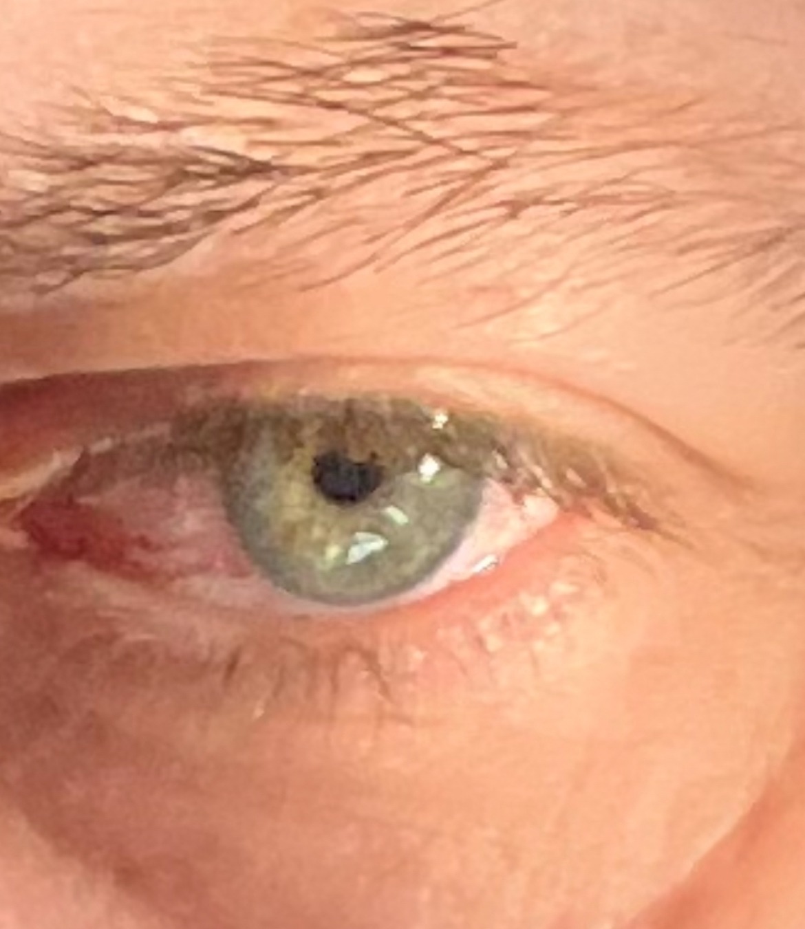 Lalaina - Fexhe-le-Haut-Clocher - Liège | Plans Cul