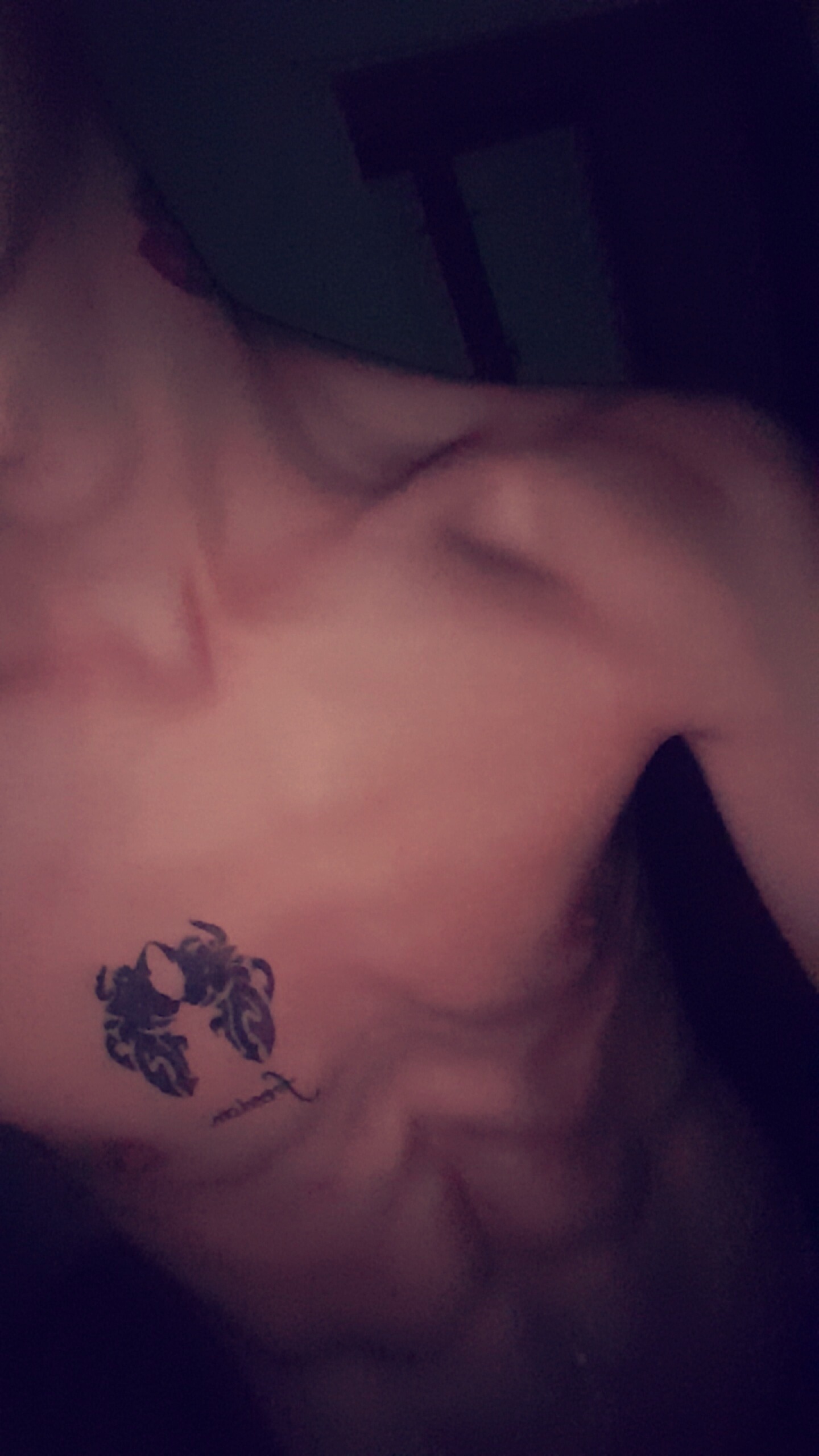 Lacene - Ravels - Anvers | Plans Cul