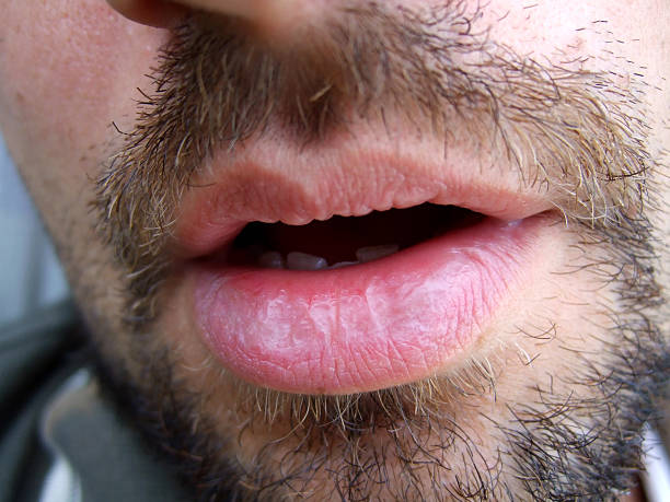 Marc-alain - Leuze-en-Hainaut - Hainaut | Plans Cul