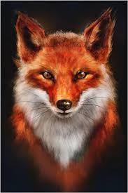 Herminio - Saint-Josse-ten-Noode - Bruxelles-Capitale | Plans Cul